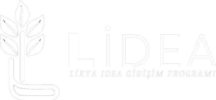 Lidea Demoday